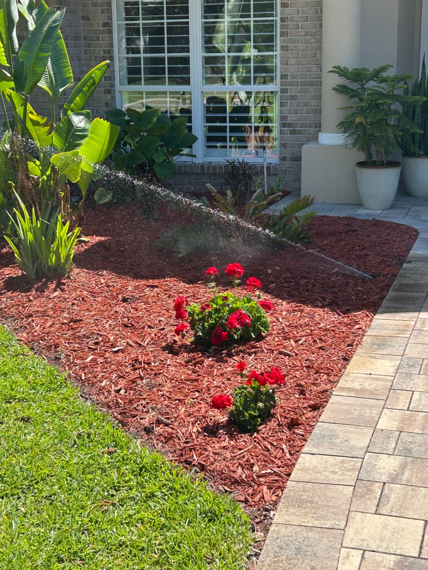 Fresh red mulch landscape bed with flowers